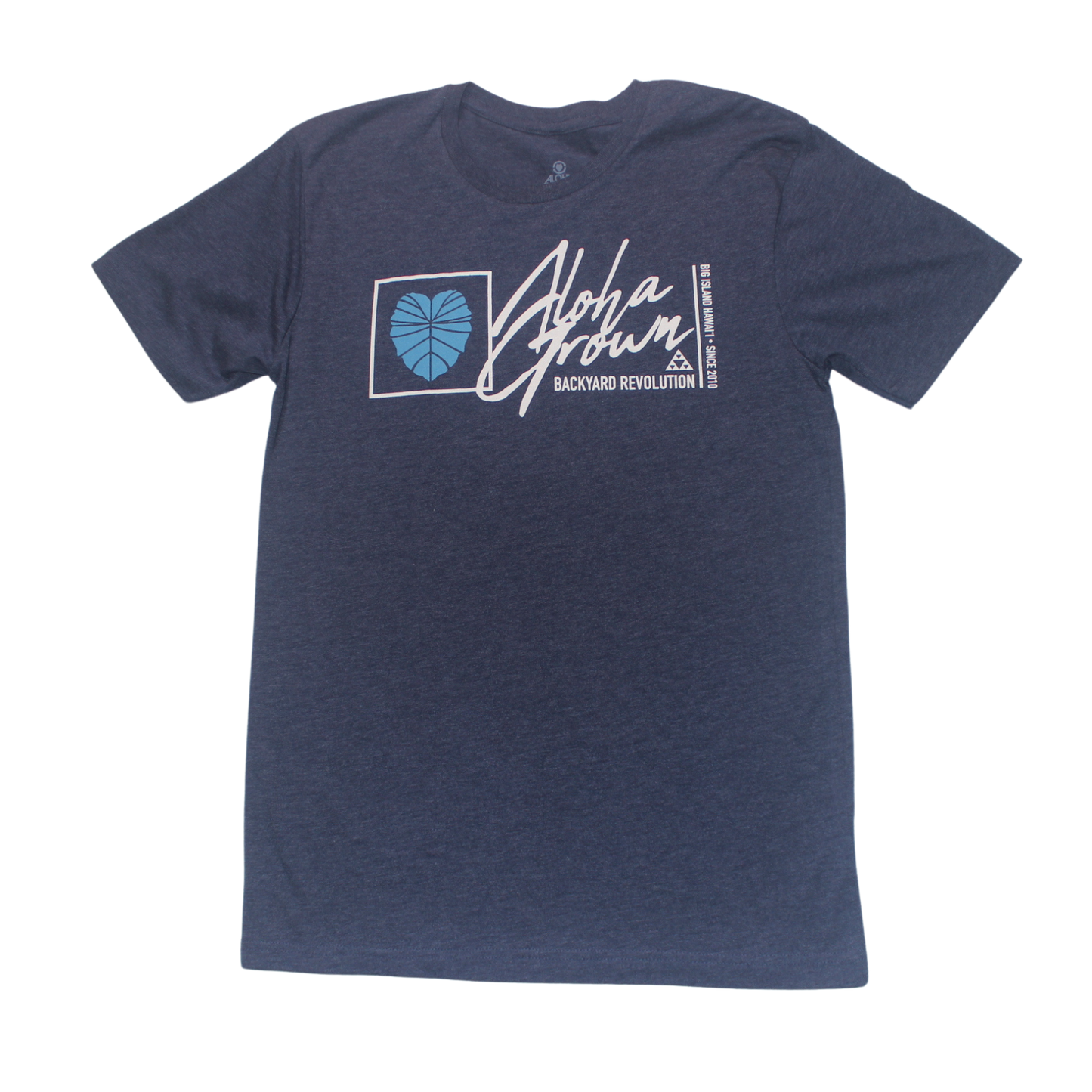 AG BACKYARD REV BLUE