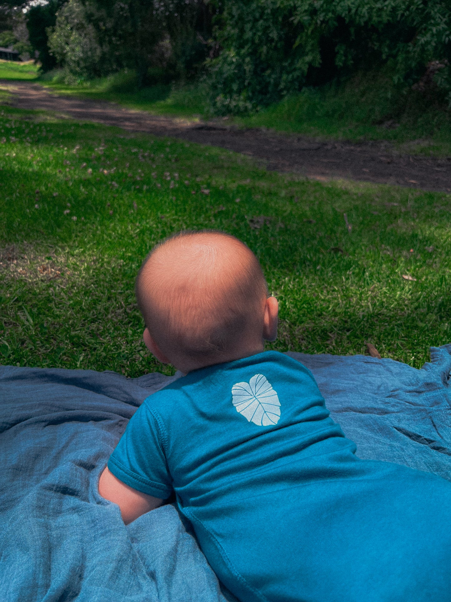 Malama ‘Āina Onesie
