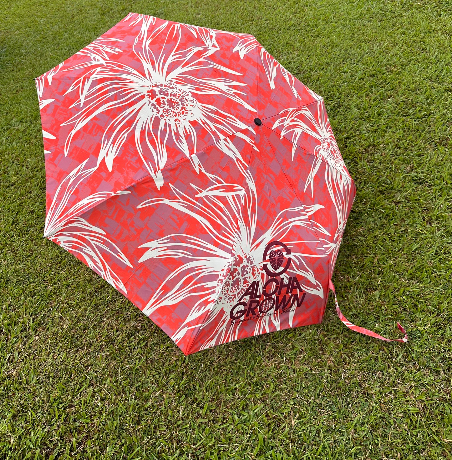 Floral Print Umbrellas