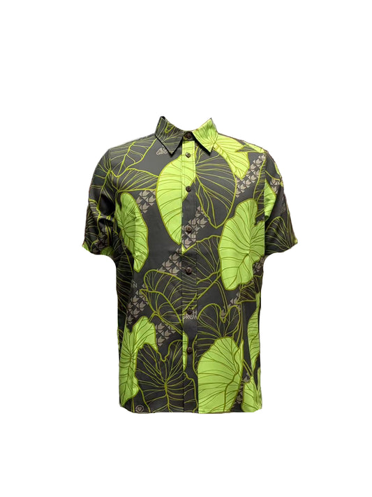 AG KALO BUTTON DOWN MD